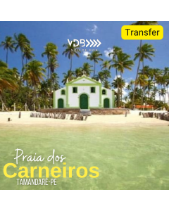 Transfer Praia dos Carneiros - Recife