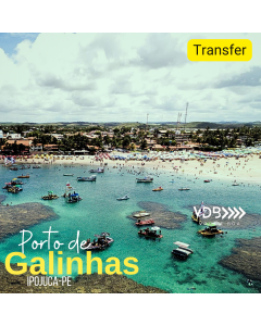 Transfer - Porto de Galinhas - Recife