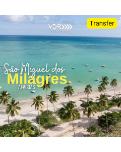 Transfer - São Miguel dos Milagres - Recife